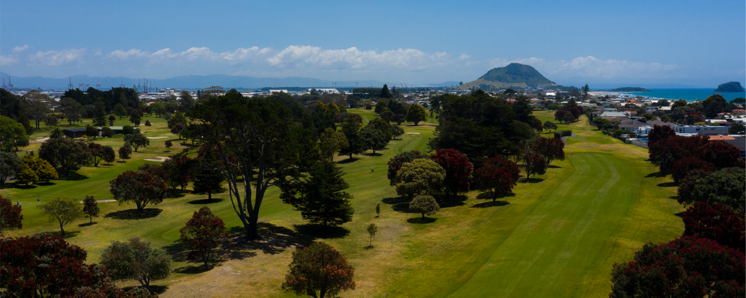 Mount Maunganui Golf Course Image